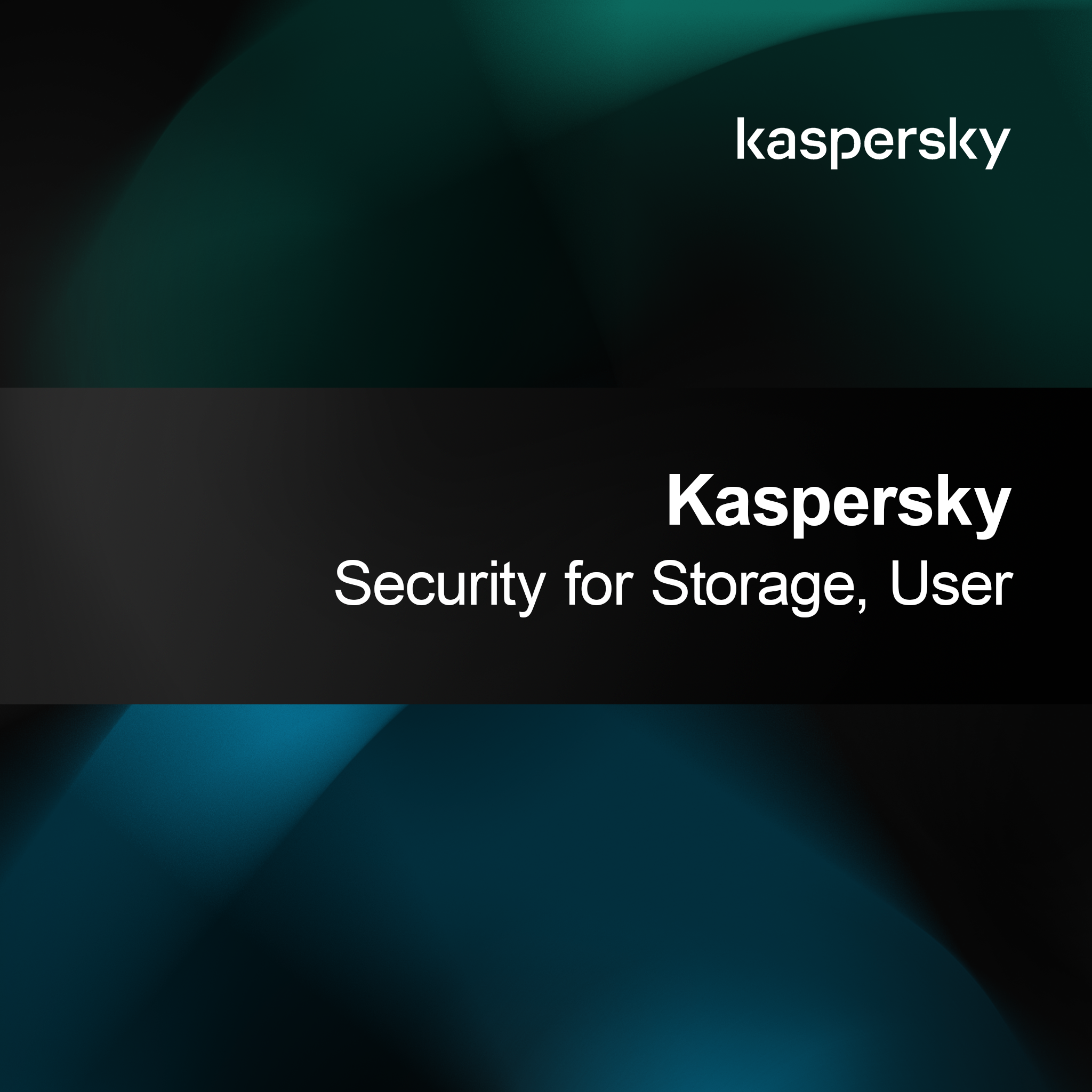 Kaspersky Security for Storage User